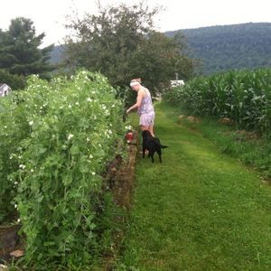 Meet your Posher, Corine